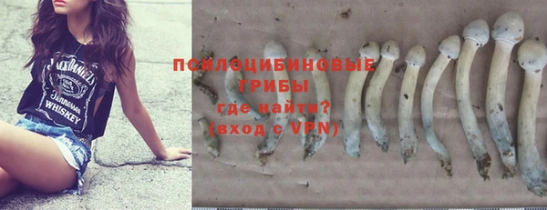 стаф Медвежьегорск