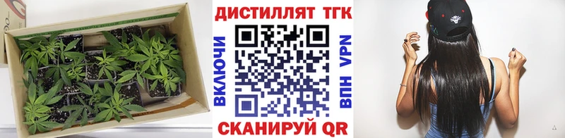 купить закладку  Почеп  Дистиллят ТГК вейп с тгк 