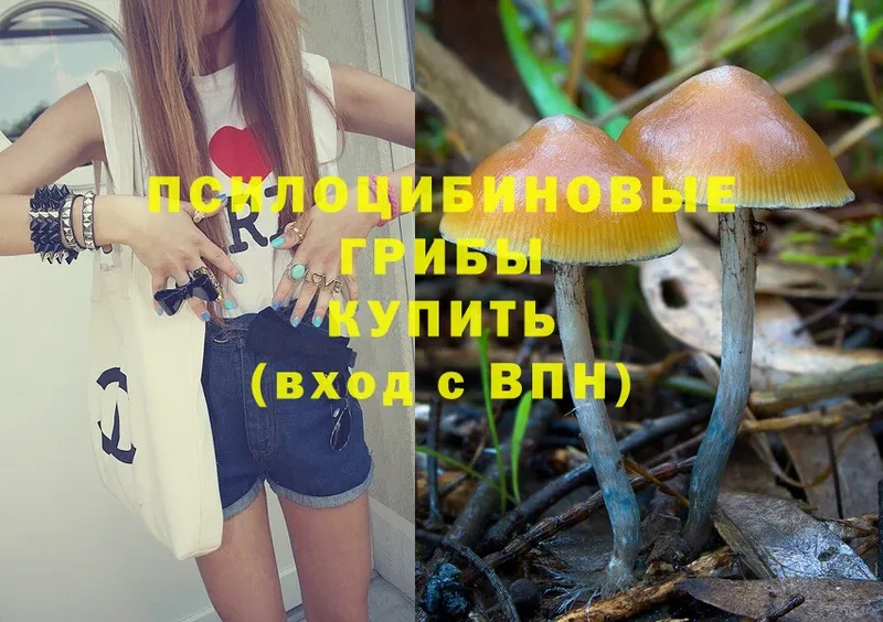 Галлюциногенные грибы MAGIC MUSHROOMS  hydra ССЫЛКА  Почеп 