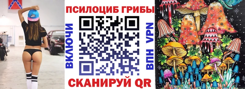 Псилоцибиновые грибы Magic Shrooms  наркотики  Почеп 